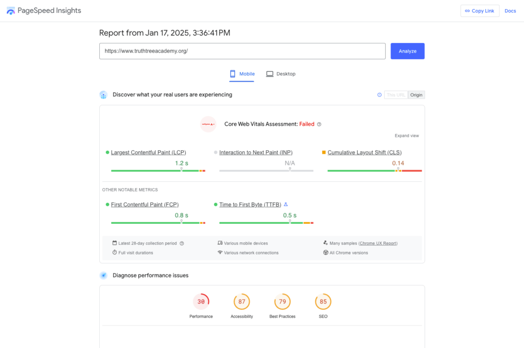 PageSpeed Insights example of Truth Tree Academy. This is purely an example of pageload speed and performance for truthtreeacademy.org for use by Truth Tree for a blog post on tips for school seo | Truth Tree provides digital marketing strategies and solutions for schools.